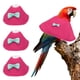 thumbnail image 1 of Collares para Aves Uxcell, Collar Cónico Protector de Recuperación, Conos Ajustables Suaves Anti-Mordeduras para el Cuello de Plumas (Rosa, XS, 3 Piezas), 1 of 7