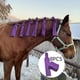 thumbnail image 2 of Protege la manía del caballo del viento, el sol y el barro - evita los enredos, el frotamiento y la rotura - hecho con nylon - fácil de usar y lavable - conjunto de 8 púrpuras;, 2 of 3