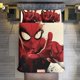 thumbnail image 1 of Universe Spider-Man Spidey 3 Piece Sets Full/Queen Size - Reversible Microfiber Quilts with 2 Shams Soft Lightweight Bedspread Coverlet Comforter for All Season Bed Sheets, 1 of 5