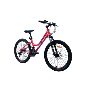 Totem - Bicicleta Mtb Aro 24 Modelo Sitara Fucsia