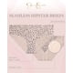 thumbnail image 2 of Pack de 10 Braguitas Hipster Jessica Simpson para Mujer XL, 2 of 6