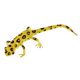 thumbnail image 5 of insectos de arcilla muy simulados al azar animales de color modelo juguetes lagarto, 5 of 5