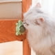 thumbnail image 4 of 3 bolas de menta giratorias con forma de tortuga para gatos, 4 of 6