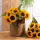 thumbnail image 2 of Flores De Girasol Artificiales De Seda De Tallo Largo 6 Unidades, 2 of 7
