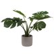 thumbnail image 1 of Planta Artificial Monstera en Cemento, 1 of 1