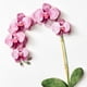 thumbnail image 4 of Tarjeta de cumpleaños Hallmark Signature for Her Orchid Design, 4 of 7