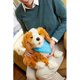 thumbnail image 5 of Mascota de compañía interactiva JOY FOR ALL Freckled Pup Brown, 5 of 9