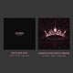 thumbnail image 5 of Álbum YG The Album Versión 1, 5 of 9