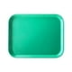 thumbnail image 1 of Bandeja Fibra De Vidrio 35x45 Cm Verde, 1 of 3