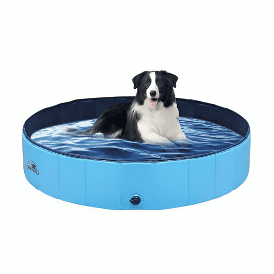 Genérico - Piscina Plegable Para Mascotas Niños Pvc Resistente 120x30cm