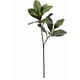 thumbnail image 1 of Ramas Artificiales Magnolia 28 Cm Hojas Realistas, 1 of 3
