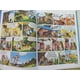 thumbnail image 3 of Asterix 33 - El Cielo Se Cae Sobre Su Cabeza, 3 of 4