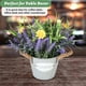 thumbnail image 4 of Planta artificial en maceta MIXROSE con flores de lavanda de 25 cm de altura, 4 of 8
