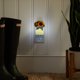 thumbnail image 3 of Difusor Yankee Candle Sunflowers ScentPlug ajustable, 3 of 6