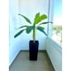 thumbnail image 2 of Planta Artificial Banano 125 cm. Premium., 2 of 3
