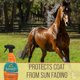 thumbnail image 4 of Acondicionador de pelo y protector solar Absorbine Santa Fe en aerosol de 946 ml, 4 of 5