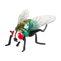 Magideal - Simulación De Juguetes Con Mosca, Modelo De Animal Con Mosca, Adorno Educativo De Aprendizaje, Accesorios De Juguete, Colección De Suministros Para