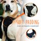 thumbnail image 3 of Arnés de coche para perros Mighty Paw Mighty Dog Safety, grande, 3 of 8