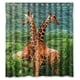 thumbnail image 1 of Cortina de ducha con jirafas africanas, juego de cortina de baño con ganchos, tamaño 66 x 72 pulgadas, 1 of 3