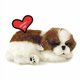 thumbnail image 1 of Perro de peluche Original Perfect Petzzz Shih Tzu realista, 1 of 2