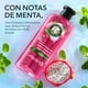 thumbnail image 4 of Herbal Essences Limpieza Refrescante Pithaya, 400 ml, 4 of 5
