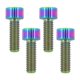 thumbnail image 1 of Tornillos TIRYTU M6x18 4 piezas de aleación de titanio colorido, 1 of 7
