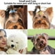 thumbnail image 5 of Pinzas para el pelo con forma de hueso de 1 pulgada, accesorios para el cuidado de mascotas, para perros, gatos y cachorros, paquete de 20, 5 of 5