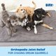 thumbnail image 4 of Cama para perros Barkbox, espuma viscoelástica ortopédica, gris, XL, 4 of 6