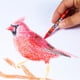 thumbnail image 2 of Crayon Cra-z-Art Bulk Class, paquete de 800 unidades, 8 colores surtidos, 2 of 5
