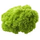 thumbnail image 1 of Lechuga Bionda Hidropónica Bolsa, 1 Un, 1 of 2