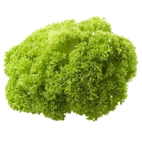 Lechuga Bionda Hidropónica Bolsa 1 Un