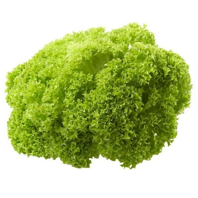 Lechuga Bionda Hidropónica Bolsa 1 Un