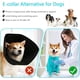 thumbnail image 5 of Traje de recuperación tipo onesie para perros Parderry después de cirugía, 5 of 7