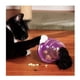 thumbnail image 3 of Juguete Interactivo Dispensador Para Gato Kong Cat Wobbler, 3 of 4