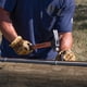 thumbnail image 3 of Mango de fibra de vidrio Hammer Klein Tools 832-26 Lineman de 768 ml, 3 of 9
