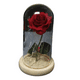 thumbnail image 2 of Rosa eterna encapsulada luz led san valentín, 2 of 3