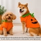 thumbnail image 3 of Disfraz calabaza pet, 1 Un, 3 of 3