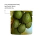 thumbnail image 2 of Crema de noche Antipodes, aguacate y pera nutritiva, 60 ml, 2 of 3