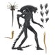 thumbnail image 1 of Figura de acción NECA Xenomorph XX121 18 cm, 1 of 6