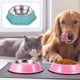 thumbnail image 4 of Comedero individual antivuelco para perros y gatos, de acero inoxidable, para perros pequeños y medianos., 4 of 5