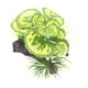 thumbnail image 3 of Decoraciones De Plantas De árboles De Acuario Decoraciones De Plantas Pequeñas Para Decoración De Peceras Estilo A, 3 of 5