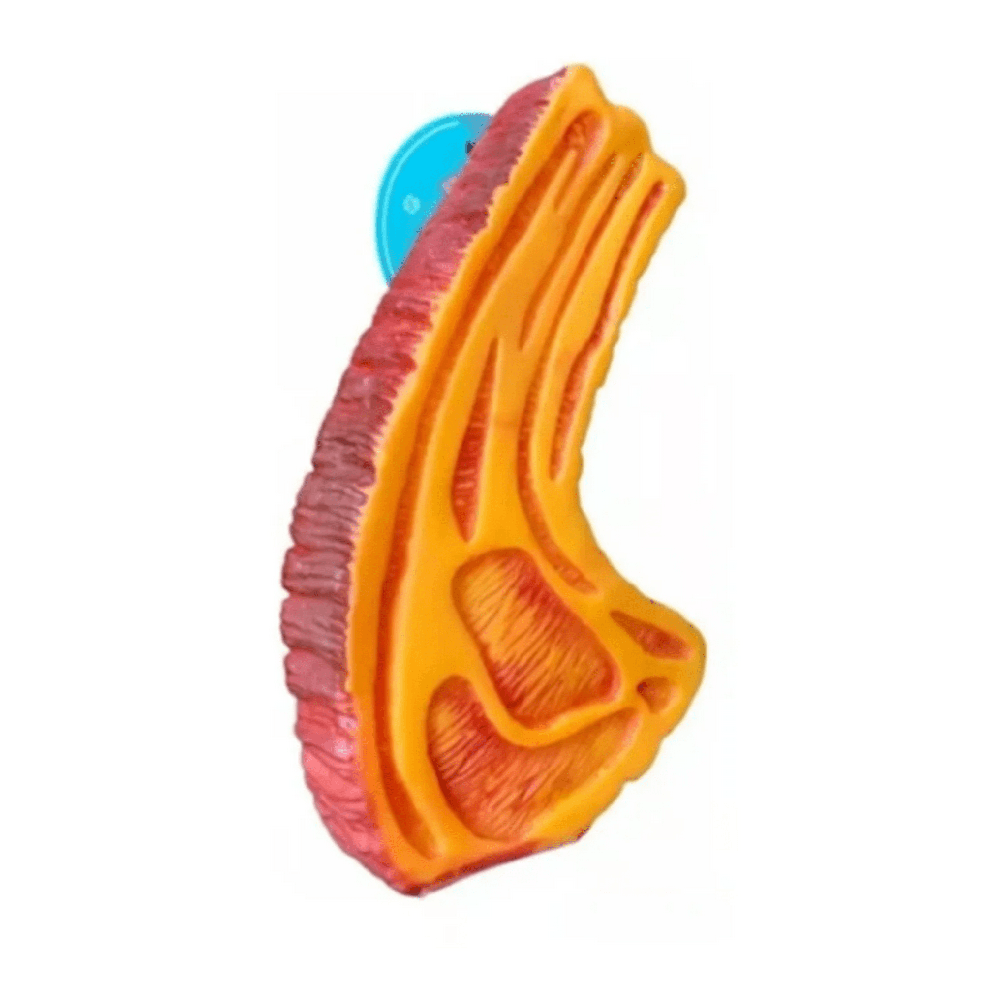 Genérico - Juguete Chuleta Con Sonido Para Mascota Perro