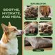 thumbnail image 4 of Bálsamo para patas y nariz Healthy Woof 60 g con aloe y vitamina E, 4 of 7