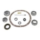 thumbnail image 1 of Kit de Instalación de Rodamientos Yukon para Chrysler 9.25" ZF Trasero 2011+, 1 of 1