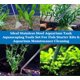 thumbnail image 4 of Set de 5 Herramientas para Aquascaping A2Z SCILAB de Acero Inoxidable, 4 of 7
