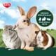 thumbnail image 5 of Alimento para Mascotas Kaytee Heno Timothy Plus 3 Sabores para Pequeños Animales, 5 of 8