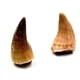thumbnail image 1 of Fabrvog Fossiles de Dientes de Mosasaurus – 2 piezas con caja y lupa, 1 of 5