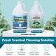 thumbnail image 2 of Solución limpiadora: Steam Mop Steam and Go, agua desmineralizada, 2 of 6