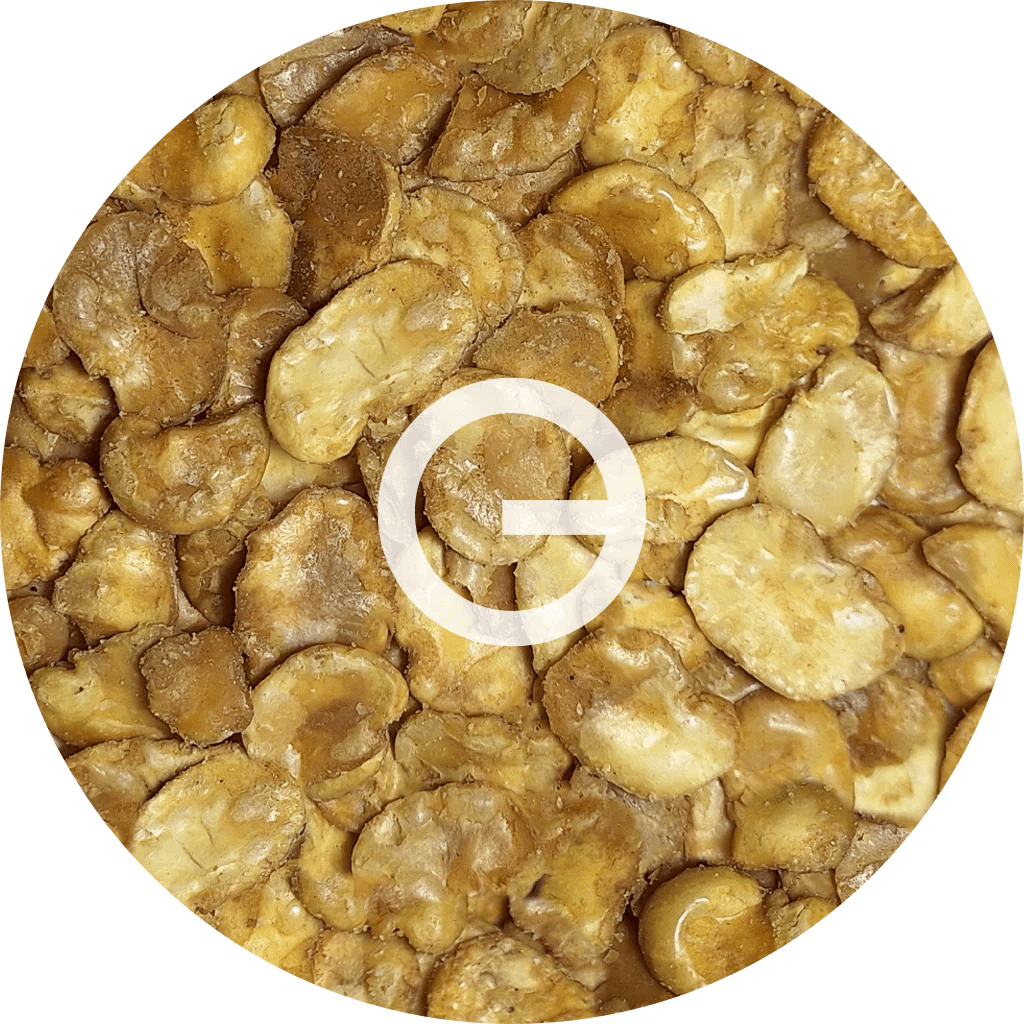 Tnogal - Habas Saladas 5kg