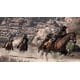 thumbnail image 3 of Videojuego Red Dead Redemption Juego del año, 3 of 5
